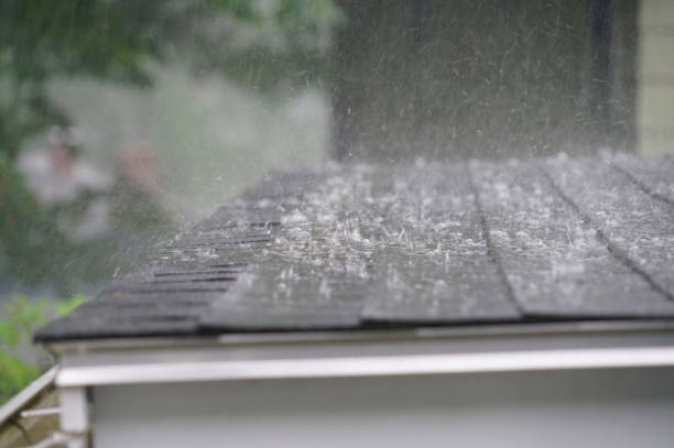 Best Roof Ventilation Installation  in Homosassa Springs, FL