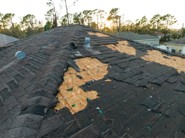 Best Rubber Roofing (EPDM, TPO)  in Homosassa Springs, FL