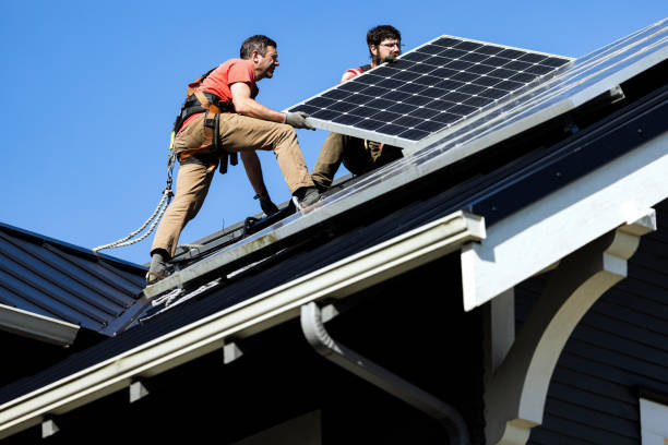 Best Gutter Installation and Repair  in Homosassa Springs, FL