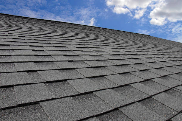 Best Roof Coating Services  in Homosassa Springs, FL
