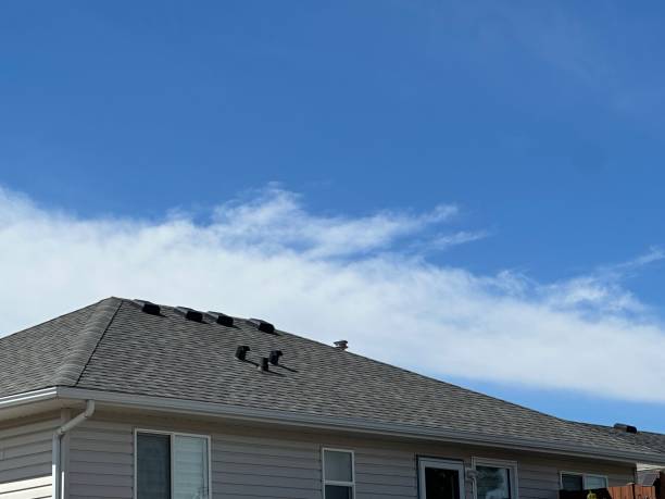 Best Roof Leak Repair  in Homosassa Springs, FL